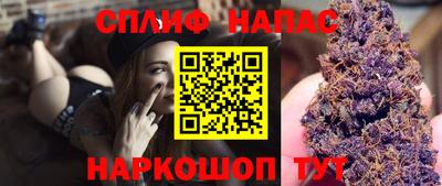 дмт Тверь