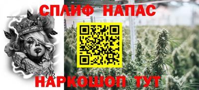 spice Тара